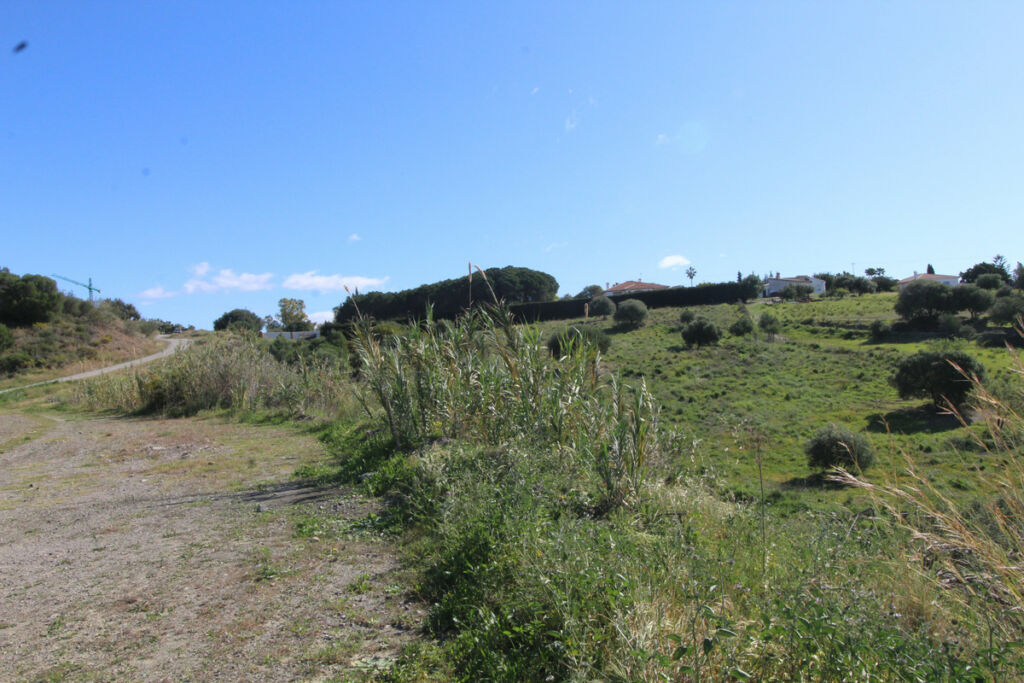 Residential Plot Benahavís Málaga