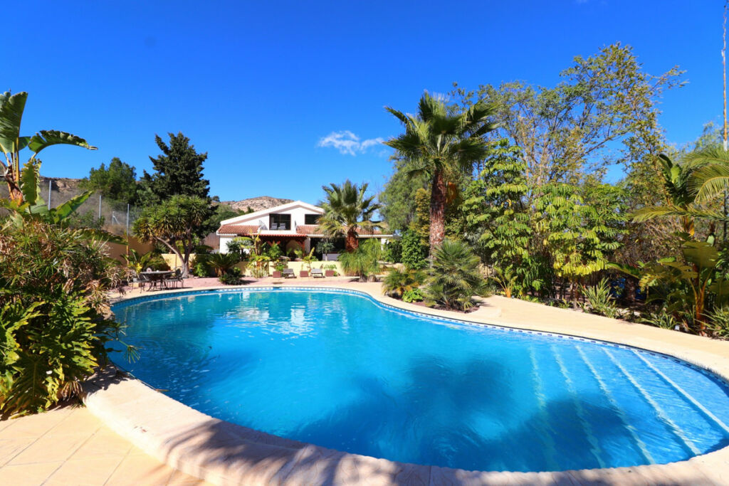 Detached Villa Aspe Alicante