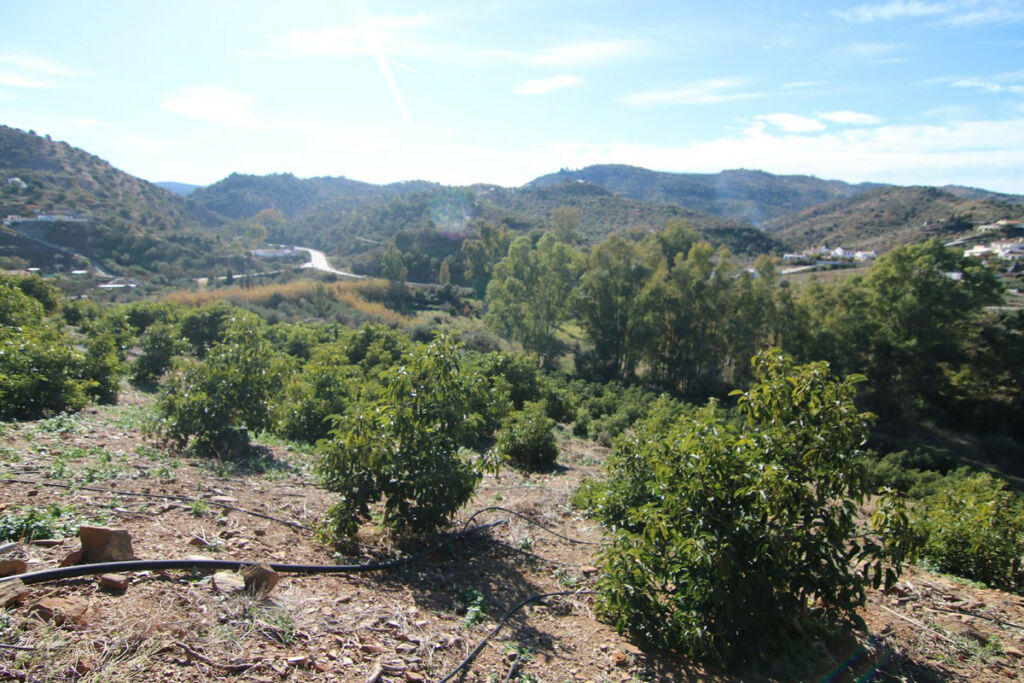 Land Coín Málaga