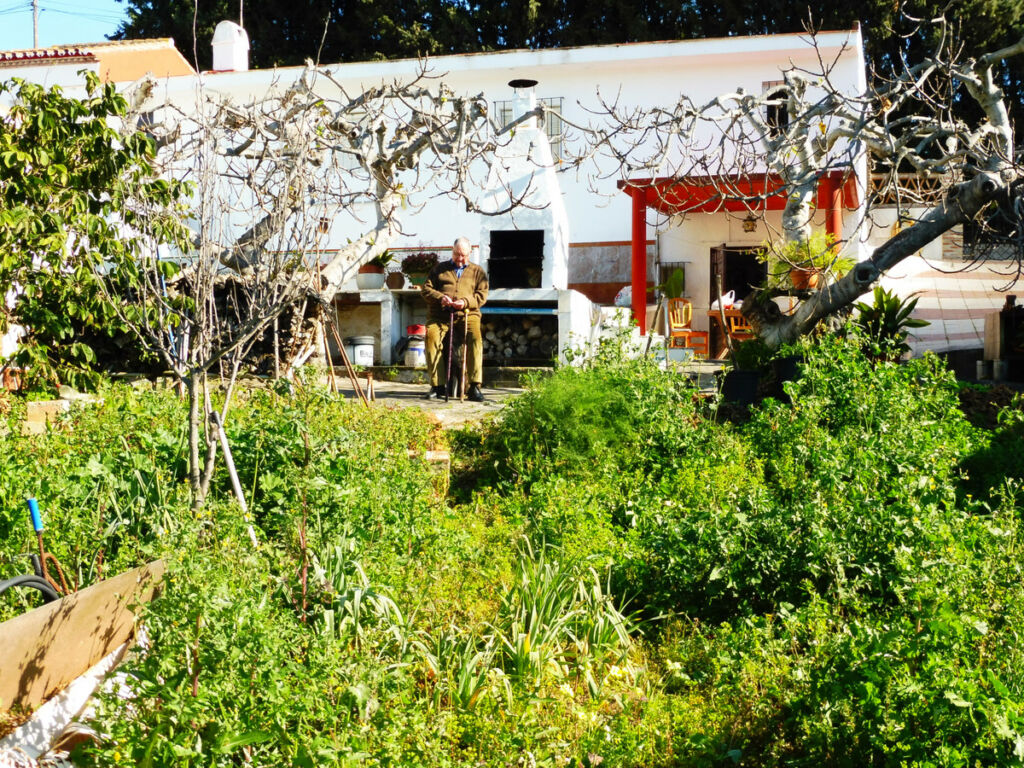 Finca - Cortijo Marbella Málaga - image 19