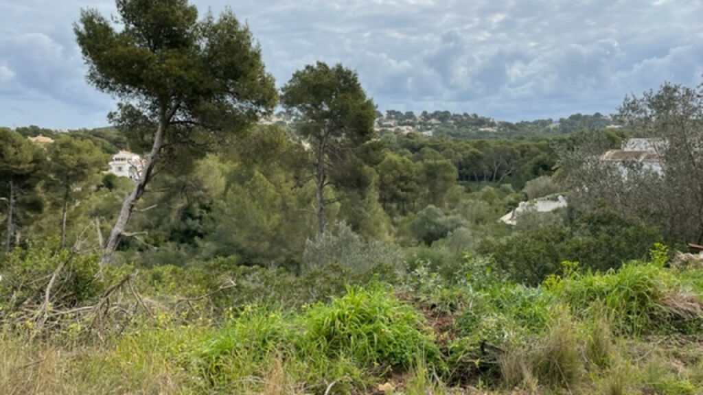 Land Javea Alicante