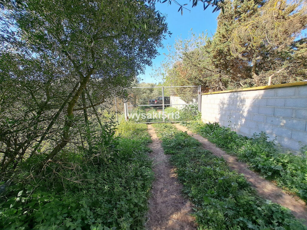 Land San Roque Cádiz - image 10