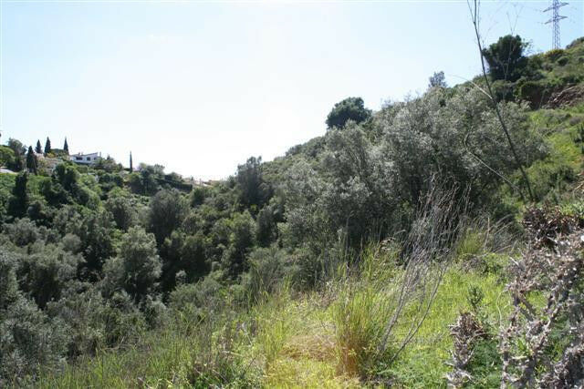 Residential Plot El Rosario Málaga - image 10
