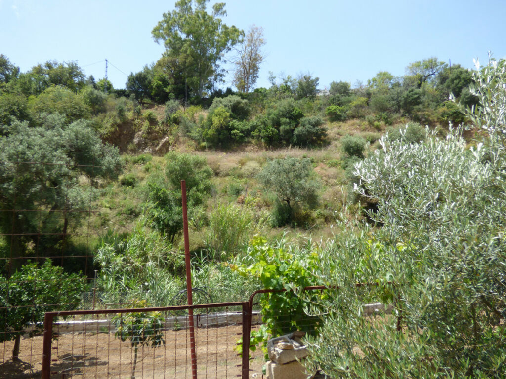 Land El Hornillo Málaga - image 10