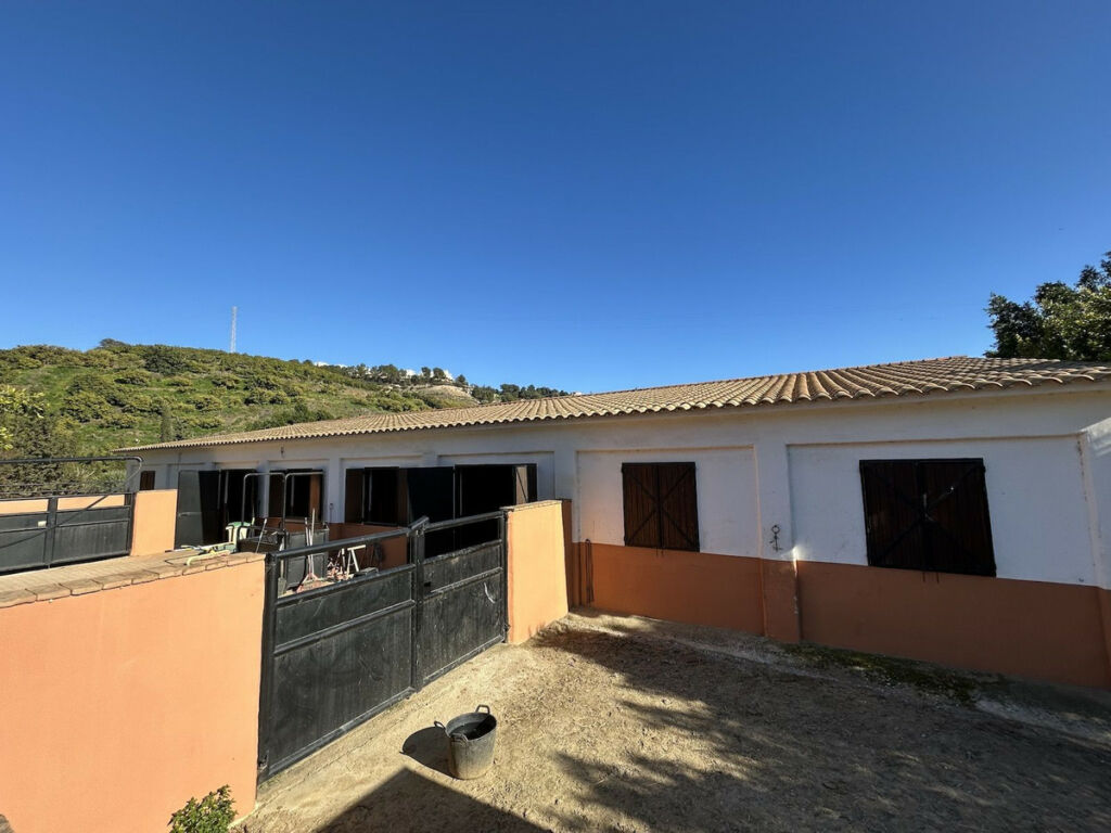 Detached Villa Frigiliana Málaga - image 104