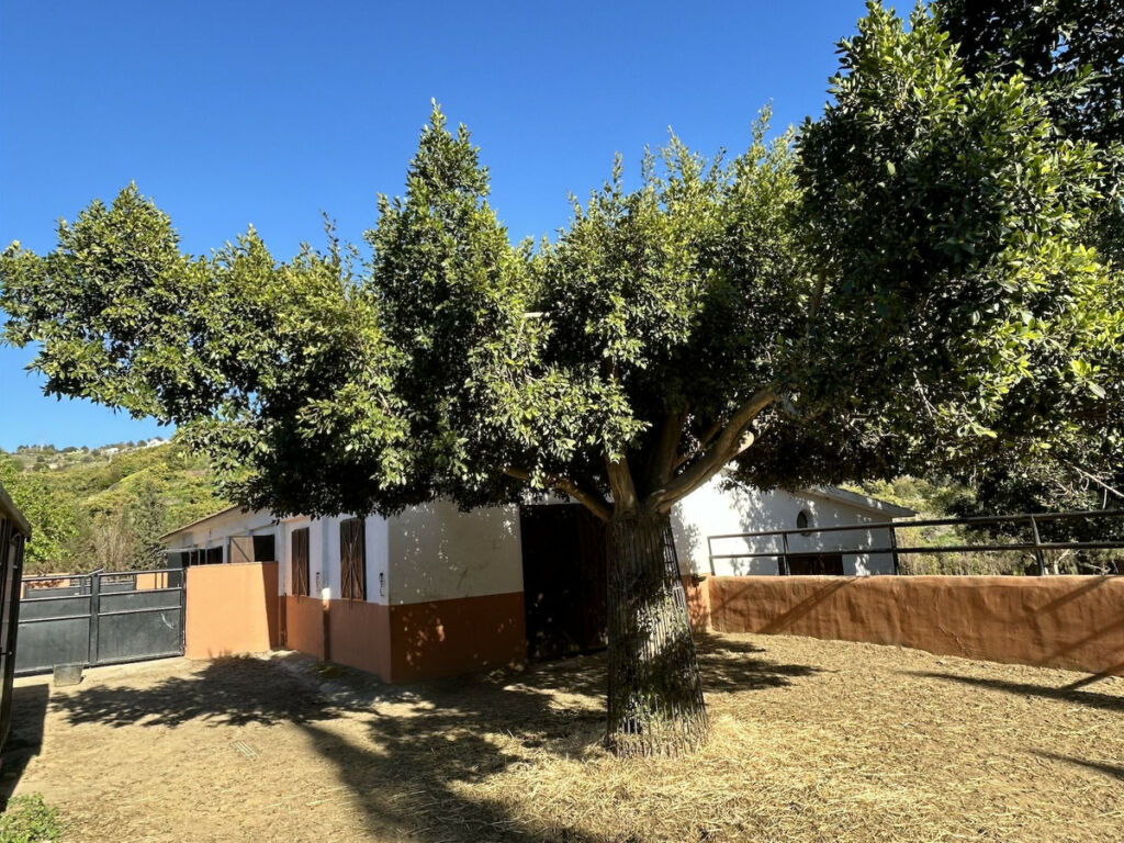 Detached Villa Frigiliana Málaga - image 105