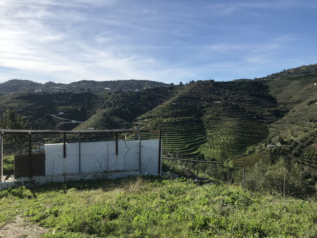 Finca - Cortijo Frigiliana Málaga - image 11