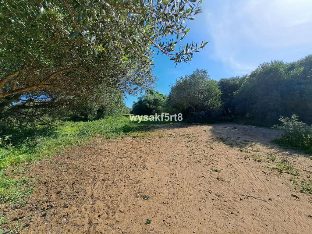 Land San Roque Cádiz - image 11