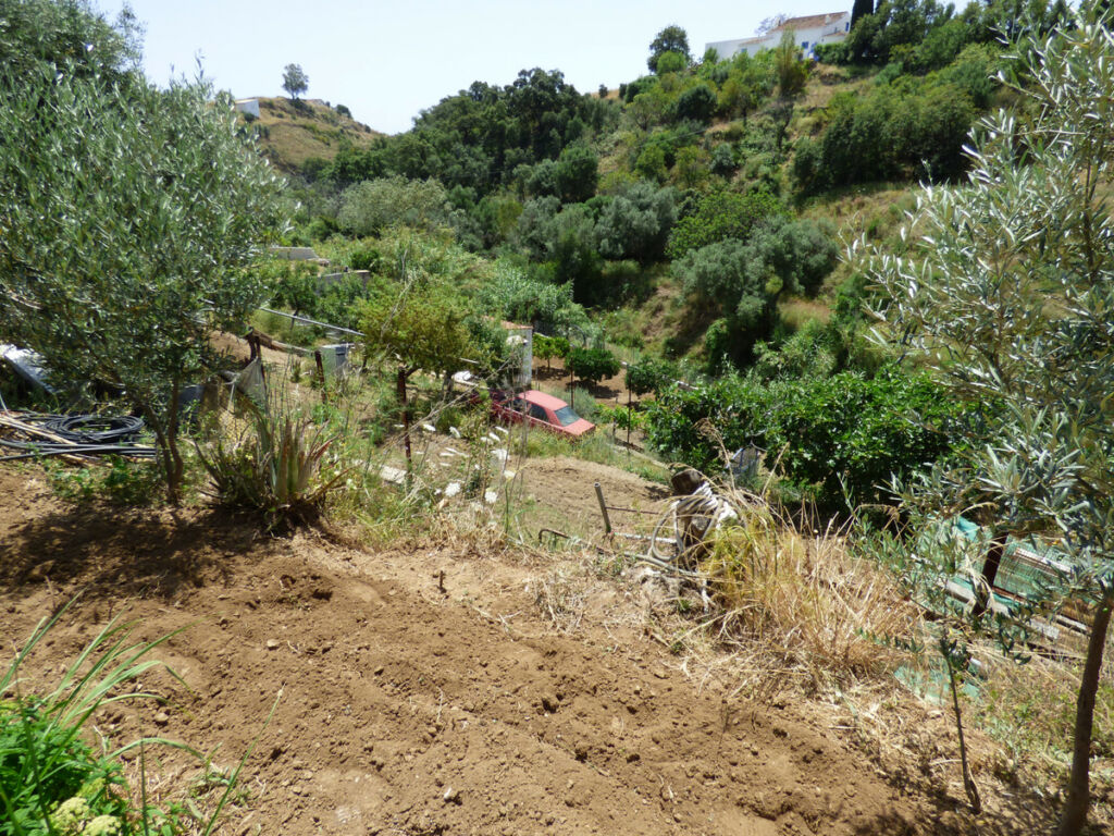 Land El Hornillo Málaga - image 11