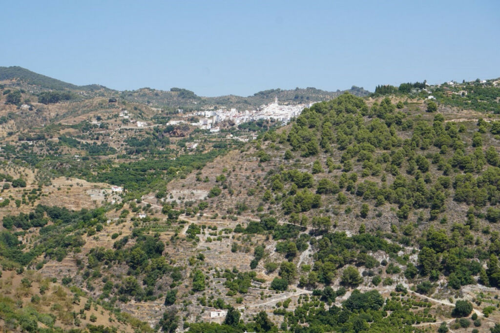 Finca - Cortijo Yunquera Málaga - image 12