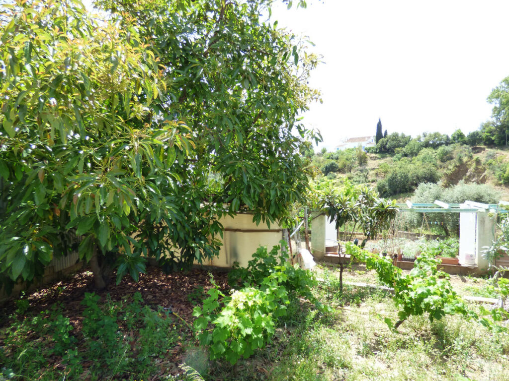 Land El Hornillo Málaga - image 12
