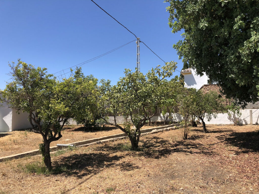 Finca - Cortijo Frigiliana Málaga - image 12