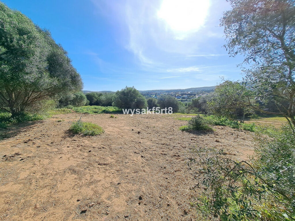 Land San Roque Cádiz - image 12