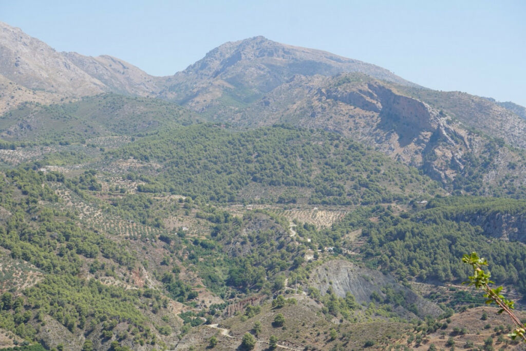 Finca - Cortijo Yunquera Málaga - image 13