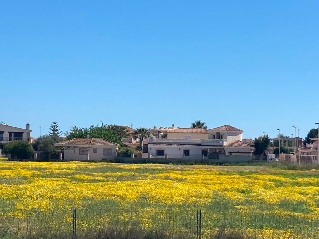 Detached Villa Los Alcazares Murcia - image 13