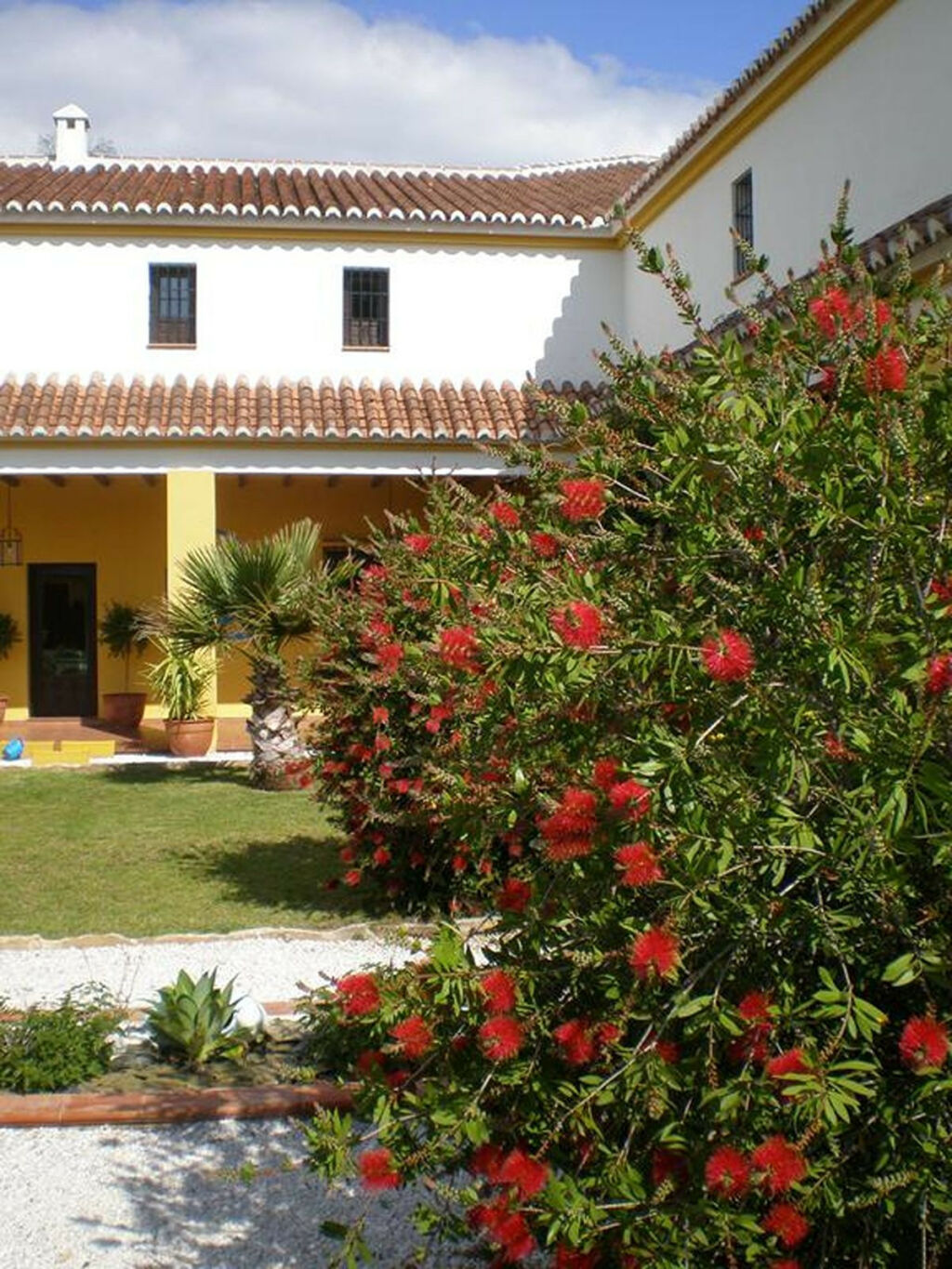 Finca - Cortijo Almogía Málaga - image 13