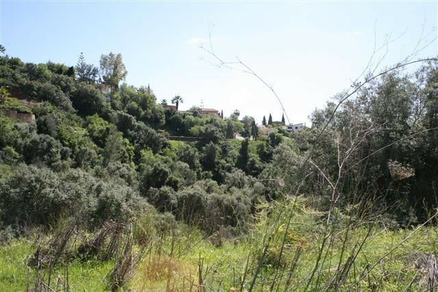 Residential Plot El Rosario Málaga - image 13