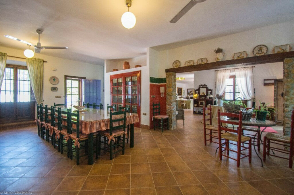 Finca - Cortijo Archidona Málaga - image 13