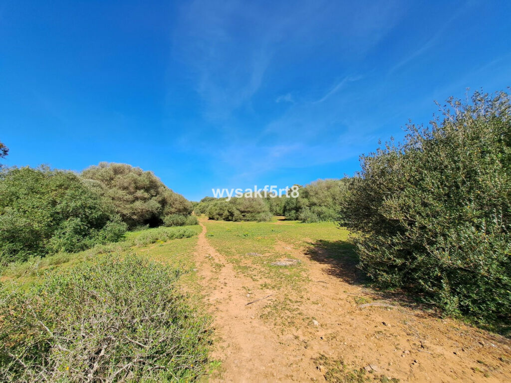Land San Roque Cádiz - image 4