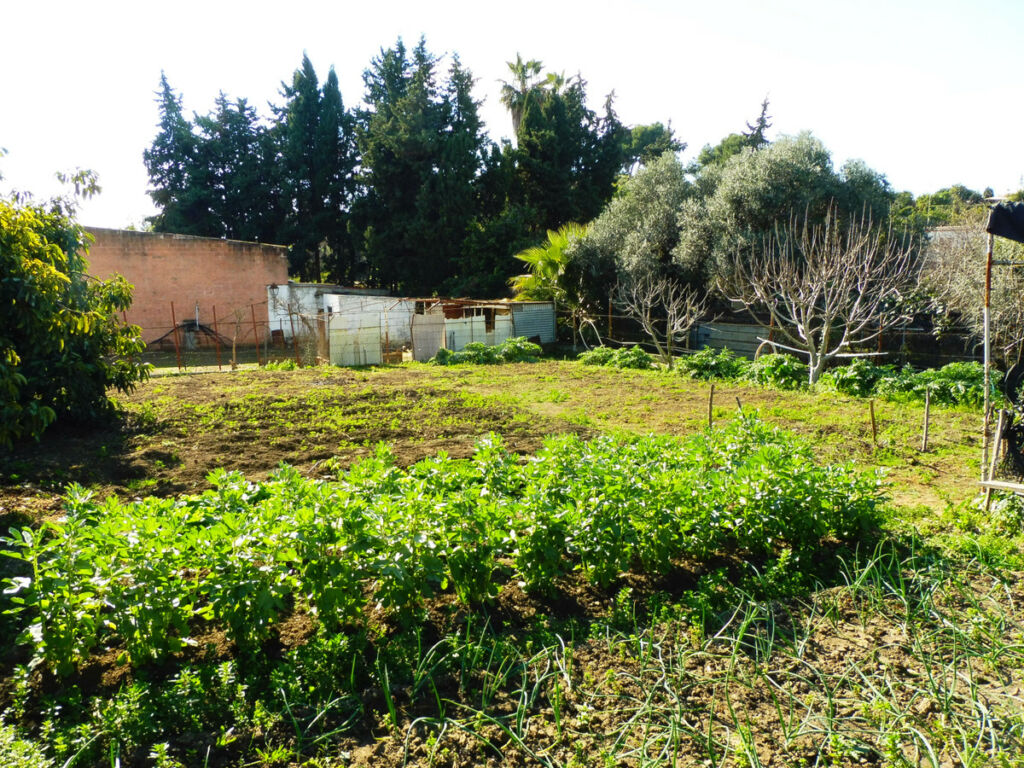 Finca - Cortijo Marbella Málaga - image 18