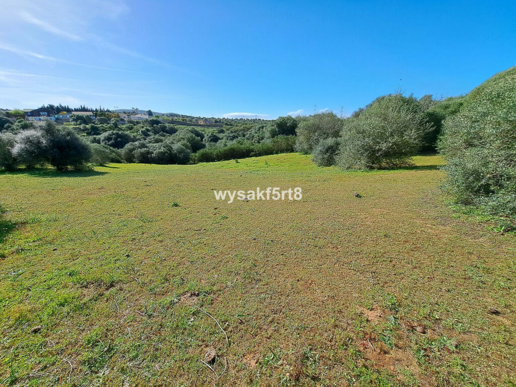 Land San Roque Cádiz - image 13