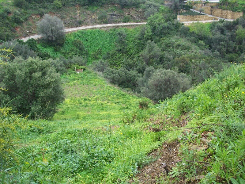 Residential Plot El Rosario Málaga - image 15