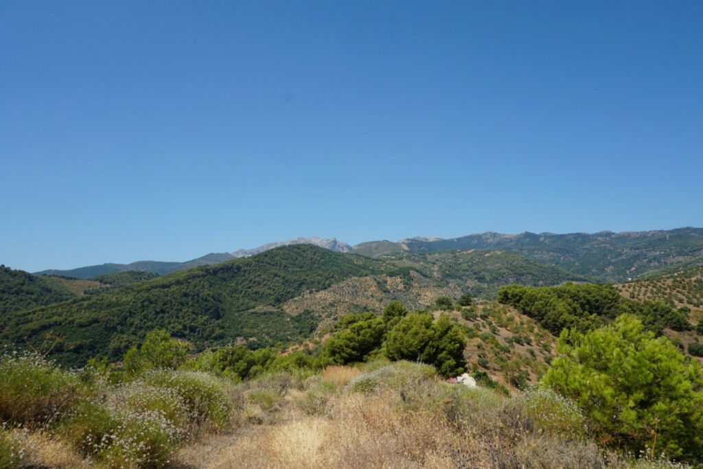 Finca - Cortijo Yunquera Málaga - image 15