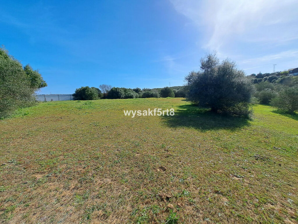 Land San Roque Cádiz - image 14