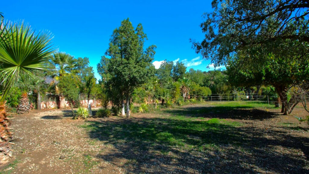 Finca - Cortijo Estepona Málaga - image 15