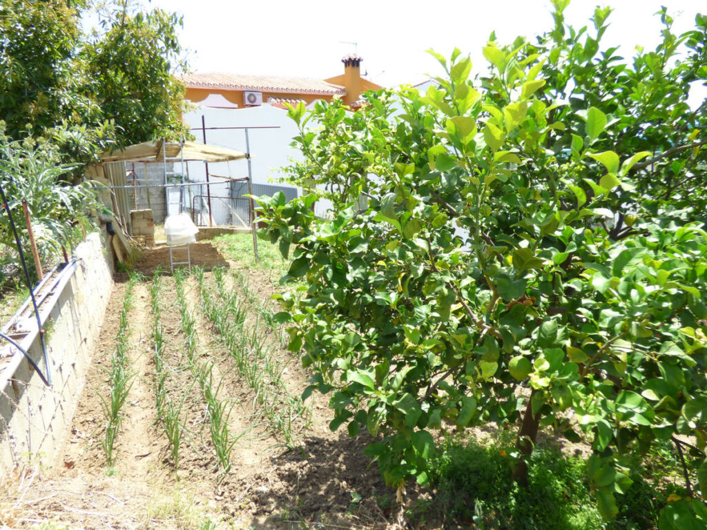 Land El Hornillo Málaga - image 15