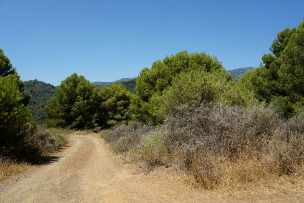 Finca - Cortijo Yunquera Málaga - image 16