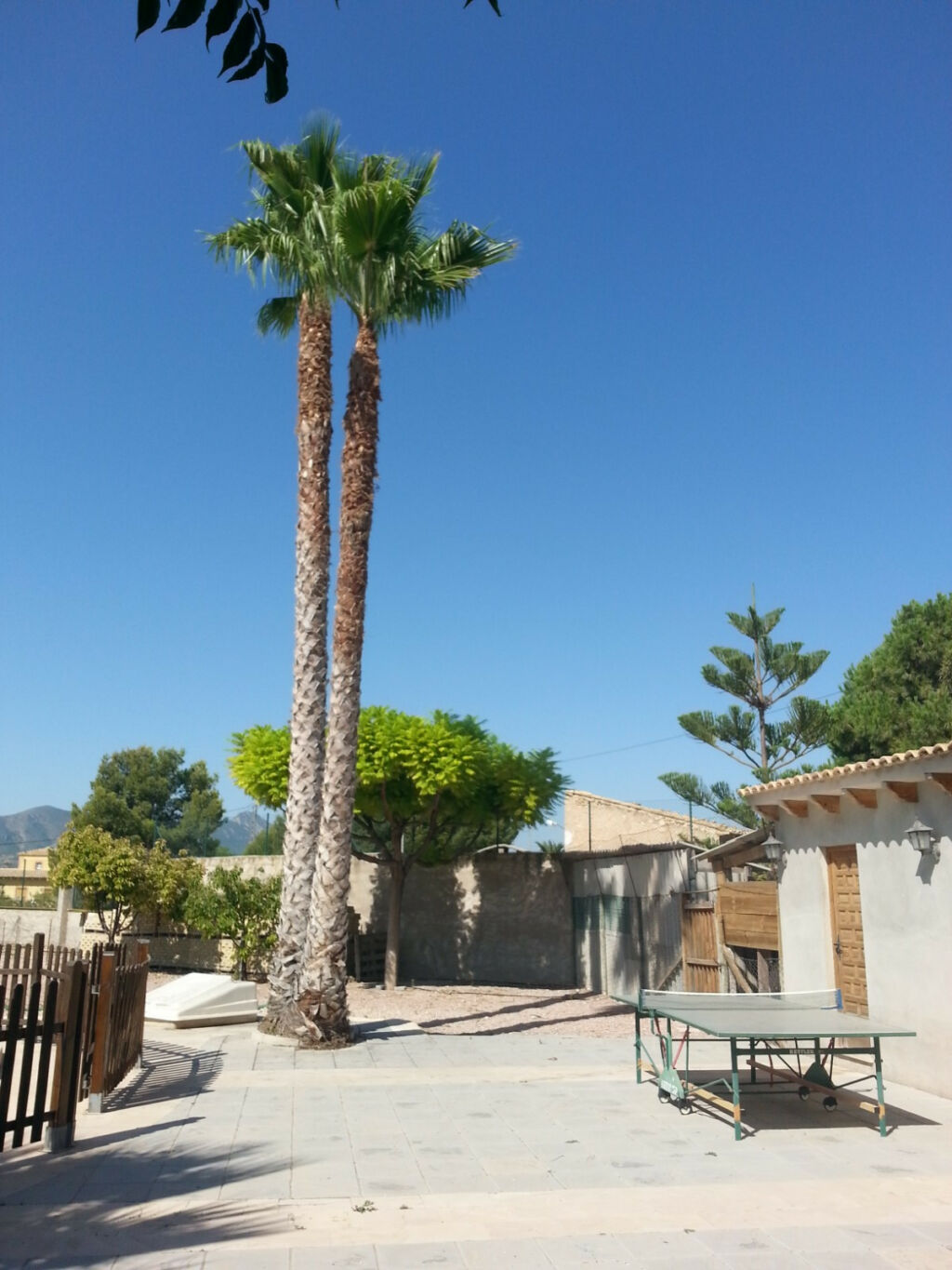 Detached Villa La Romana Alicante - image 16