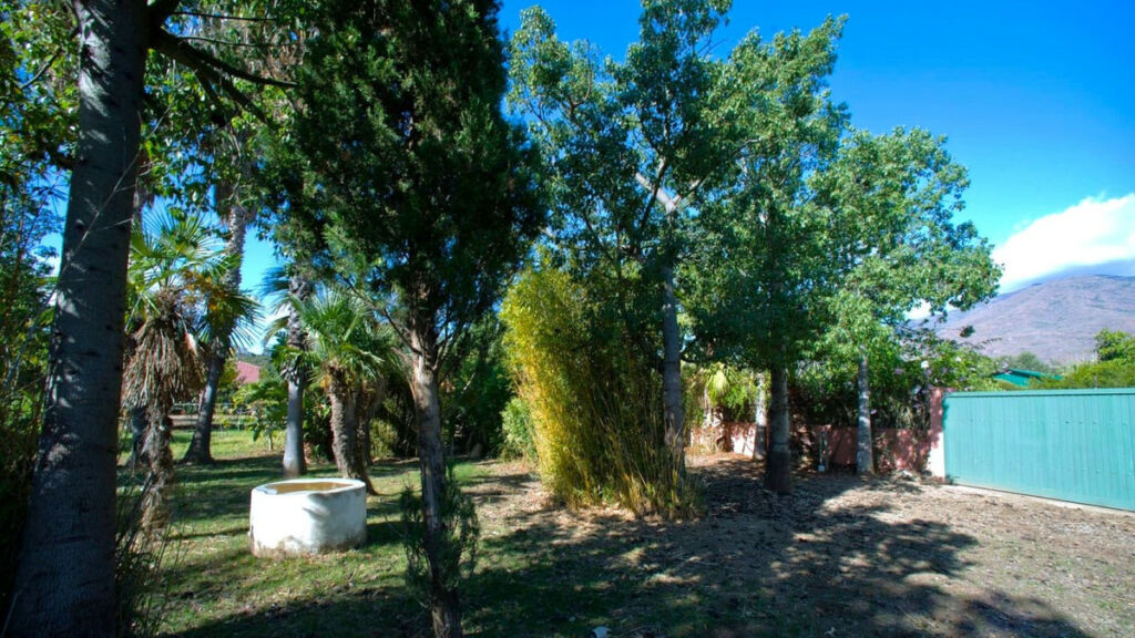 Finca - Cortijo Estepona Málaga - image 16