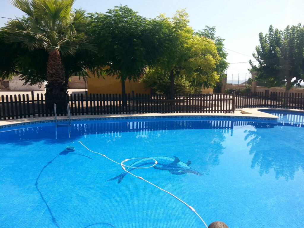 Detached Villa La Romana Alicante - image 17