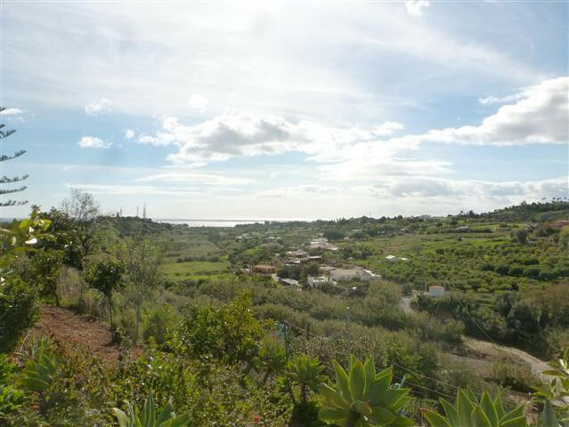 Detached Villa Estepona Málaga - image 16