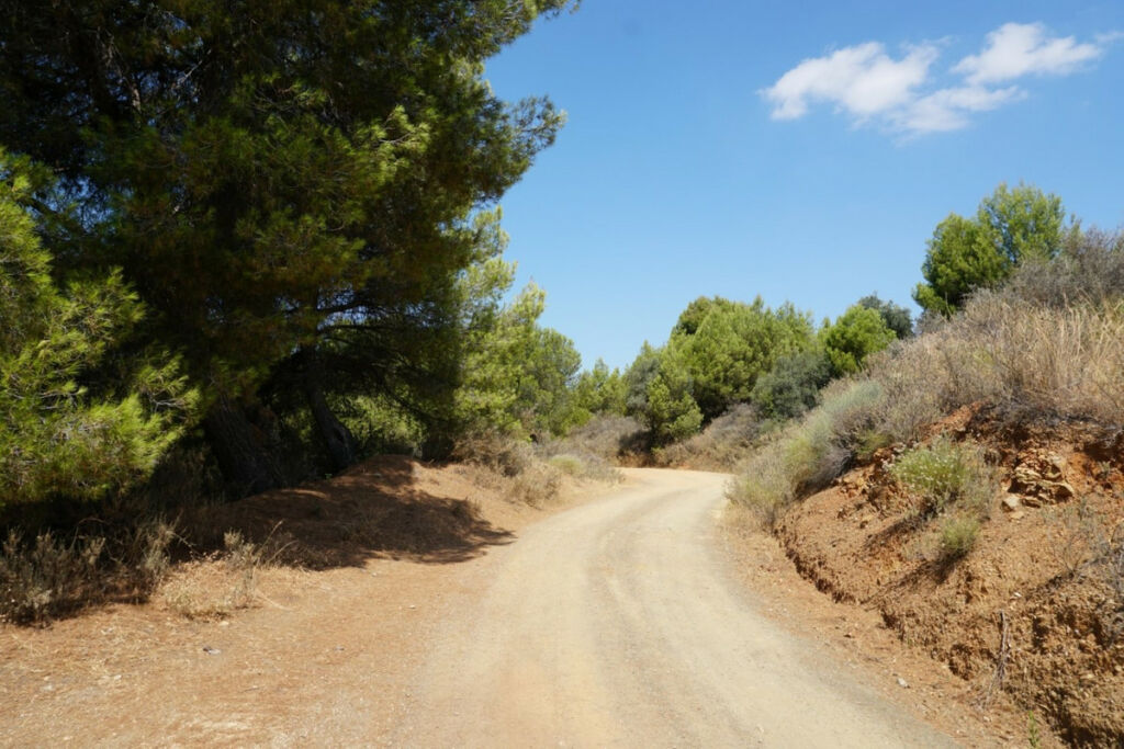Finca - Cortijo Yunquera Málaga - image 17