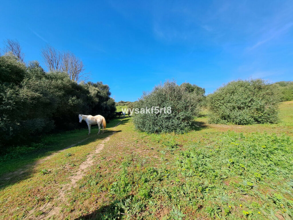 Land San Roque Cádiz - image 3
