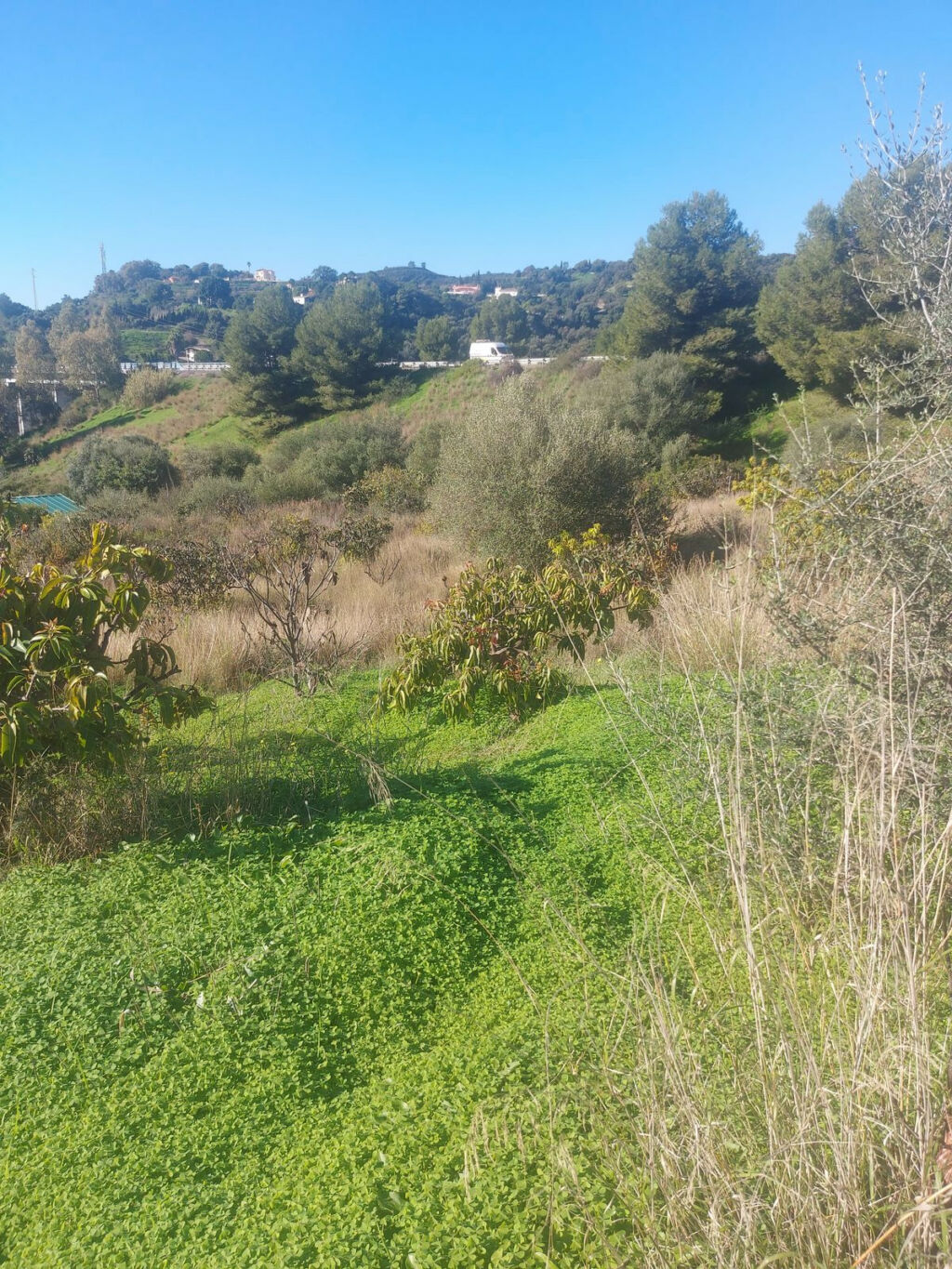 Finca - Cortijo Estepona Málaga - image 18