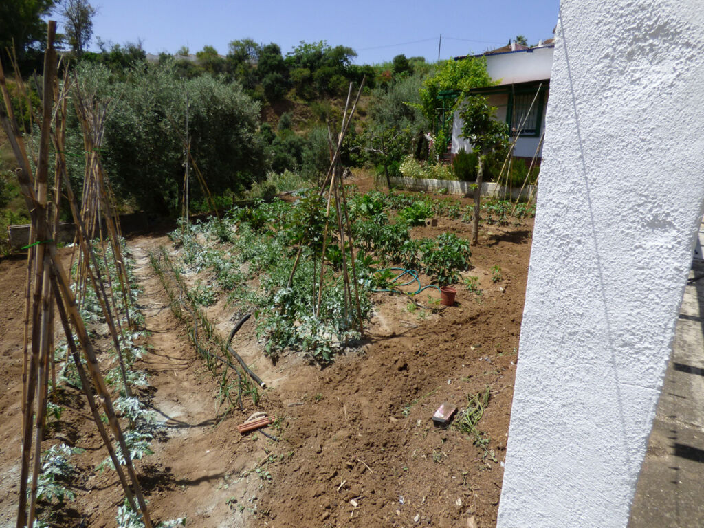 Land El Hornillo Málaga - image 18
