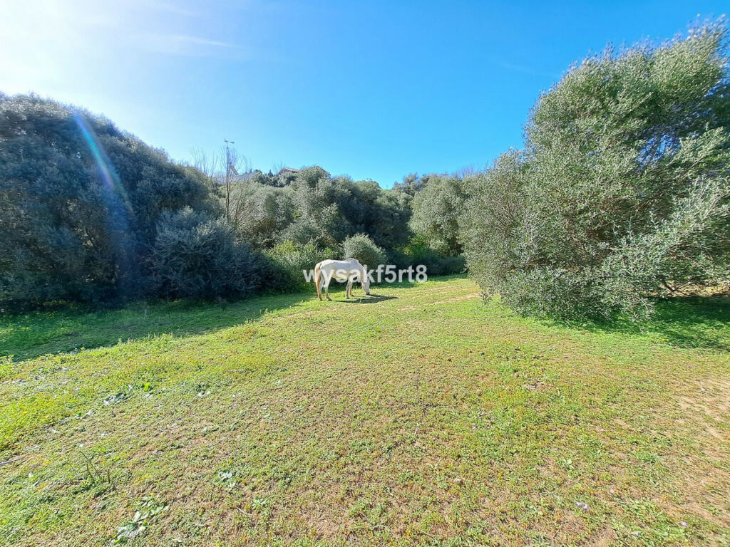 Land San Roque Cádiz - image 17