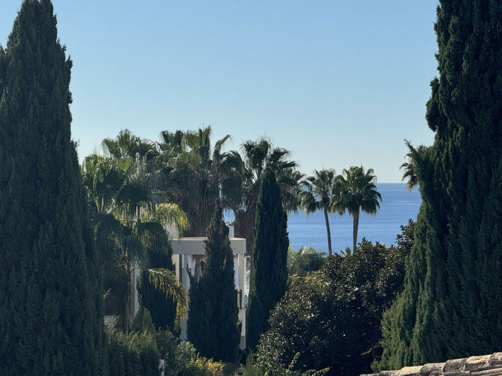 Detached Villa Bahía de Marbella Málaga - image 19