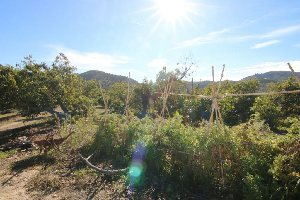 Land Coín Málaga - image 2