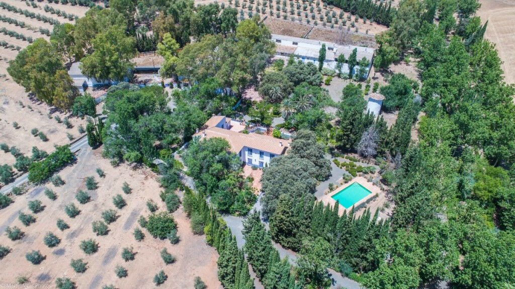 Finca - Cortijo Archidona Málaga - image 2