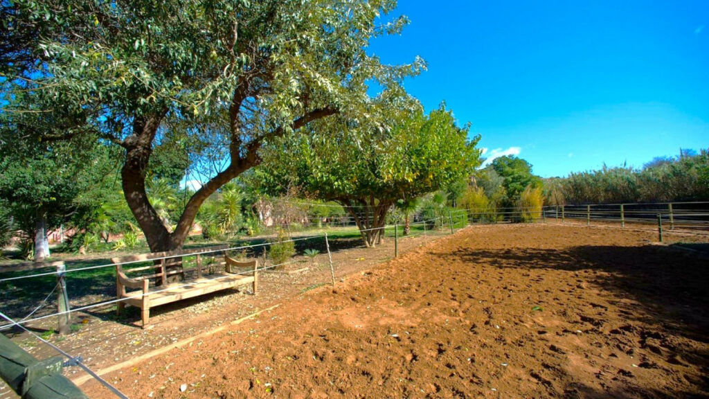 Finca - Cortijo Estepona Málaga - image 2