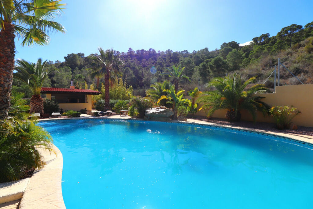 Detached Villa Aspe Alicante - image 2