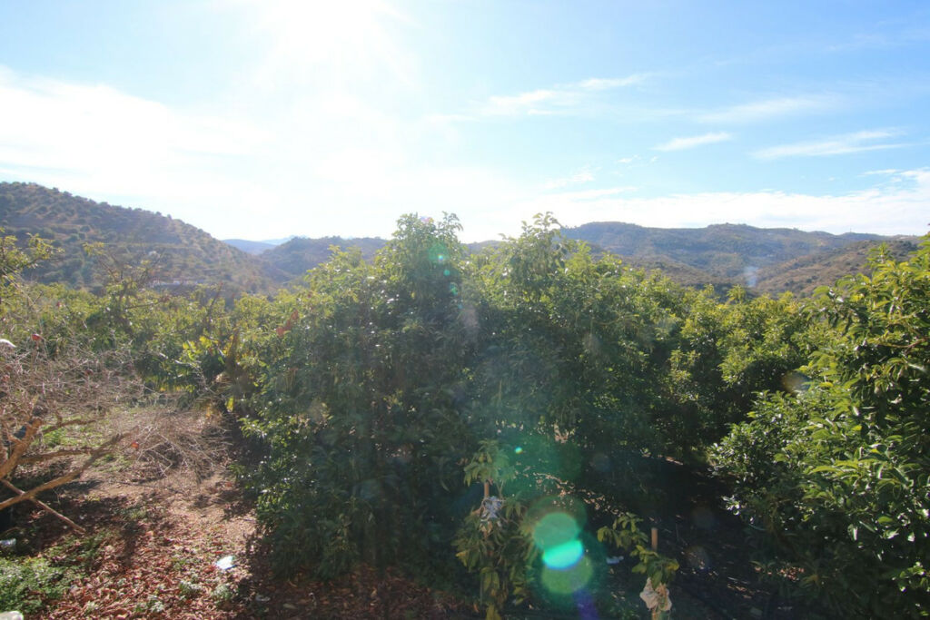 Land Coín Málaga - image 20