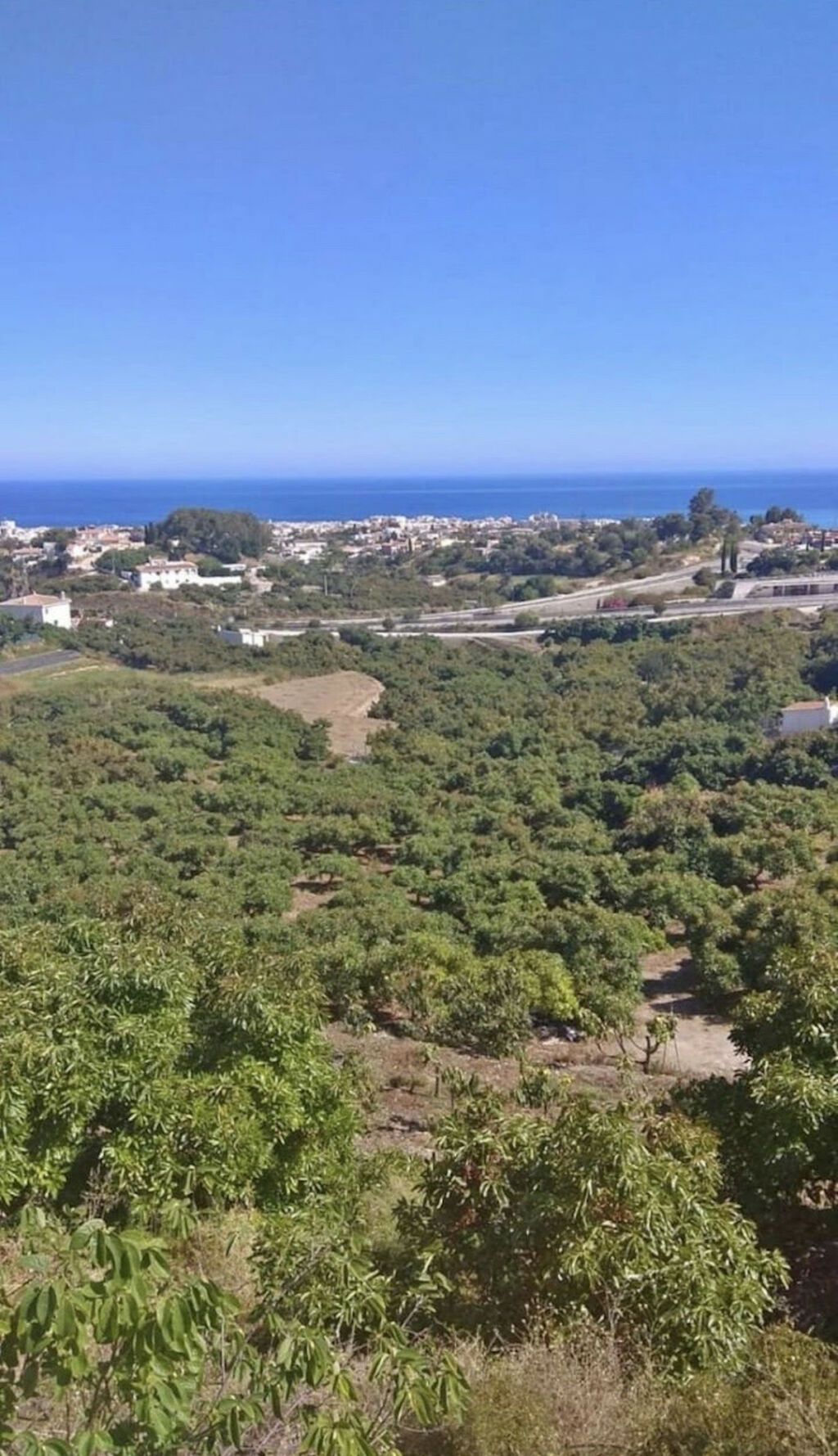 Finca - Cortijo Frigiliana Málaga - image 20