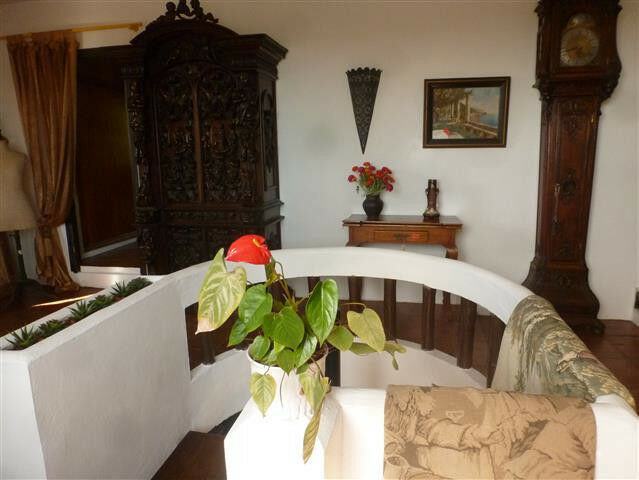 Detached Villa Estepona Málaga - image 19