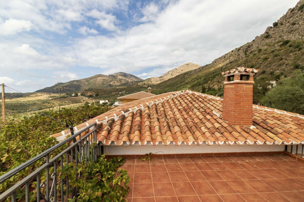 Detached Villa Periana Málaga - image 20