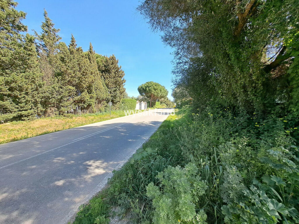 Land San Roque Cádiz - image 19